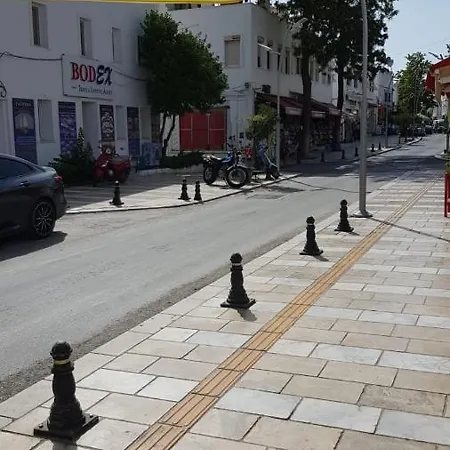 New Sedan Проживание в семье *